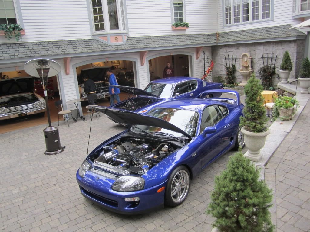 [Image: IMG_1065.jpg]