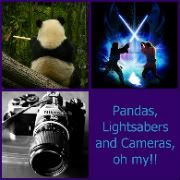 Pandas Lightsabers and Cameras oh my