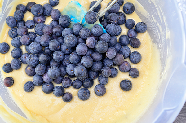  photo Griekse yoghurtcake met blauwe bessen4_zpsw2ccrzt3.png