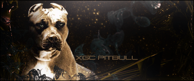 xgcpitbull.png