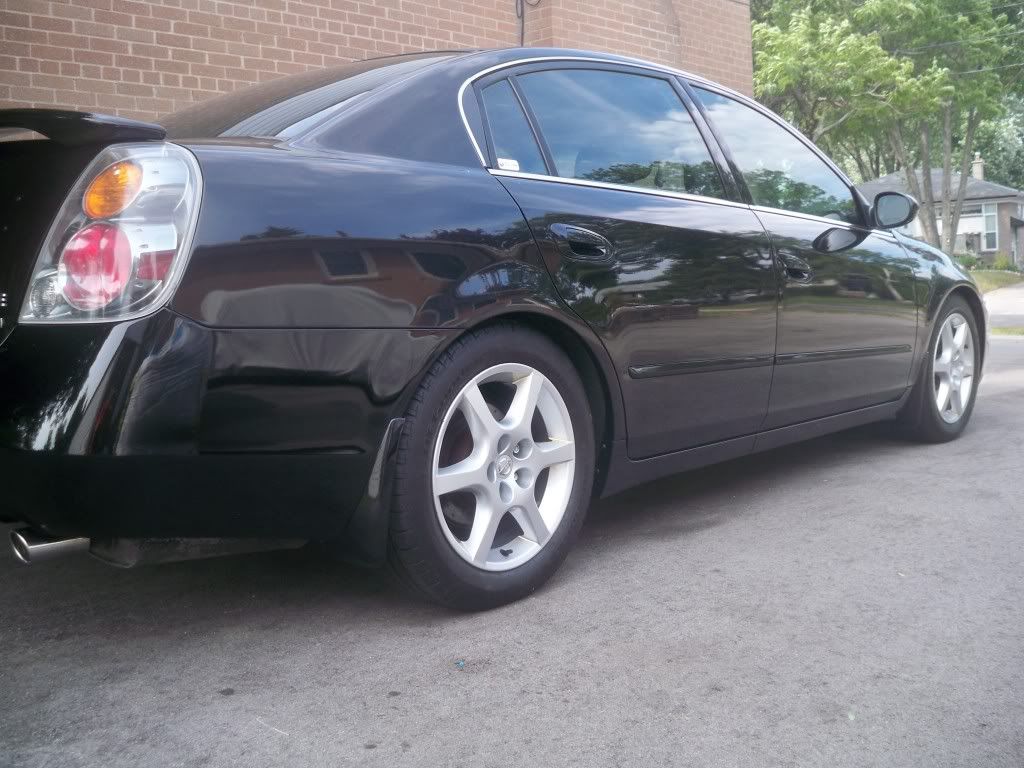 2005 Nissan altima lowering springs #8