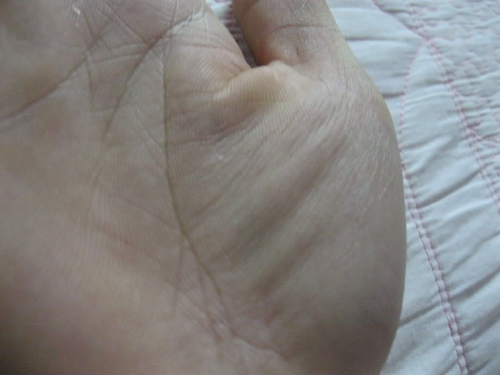 [Ảnh: IMG_0397.jpg]