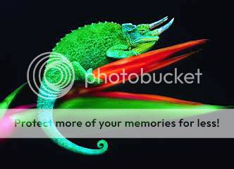 re: [作业07] 仿生设计的搜集与认识 - 100-2《中国》竹视传一a-色彩