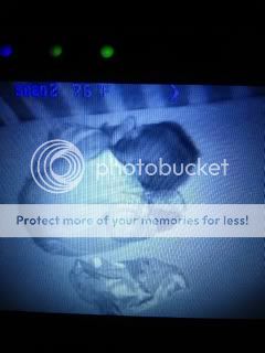 Photobucket Pictures, Images and Photos