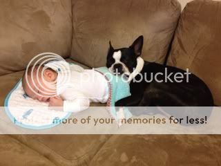 Photobucket Pictures, Images and Photos