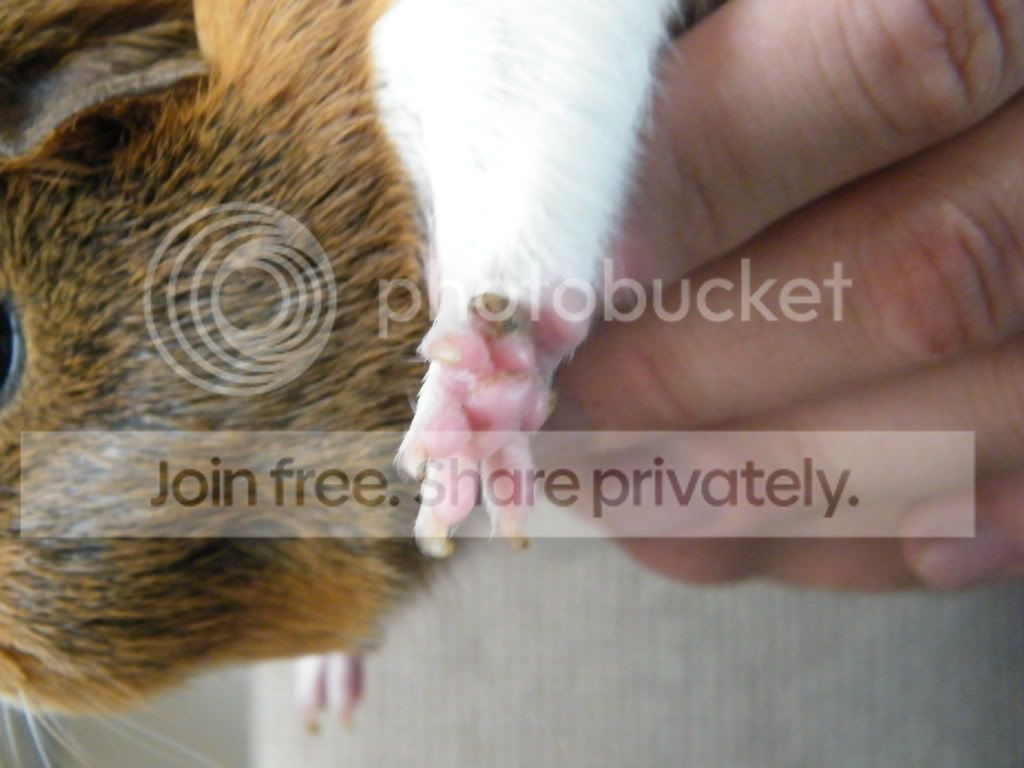 DSCF1084.jpg